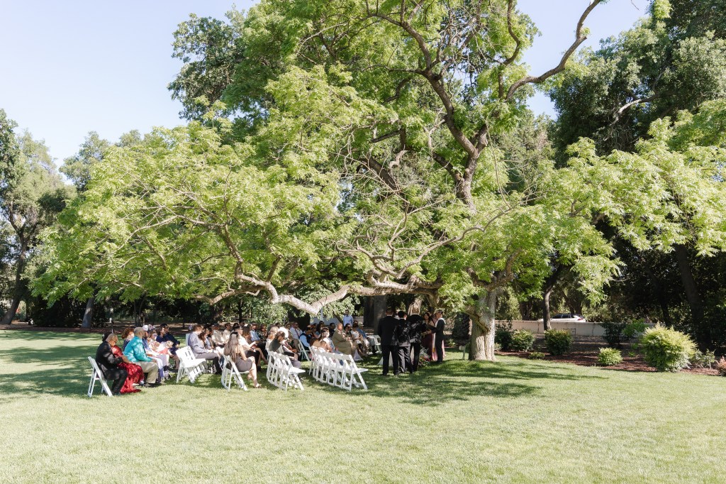 Outdoor wedding ceremony under a large green tree with seated guests on white chairs.