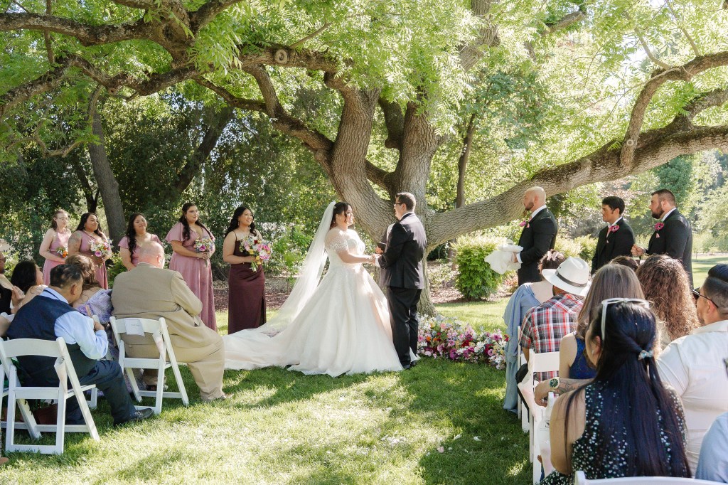 A wedding ceremony taking place outdoors under a large tree, with the bride and groom exchanging vows. Bridesmaids in soft pink dresses and groomsmen in black suits are present, while guests seated on white chairs watch the event.